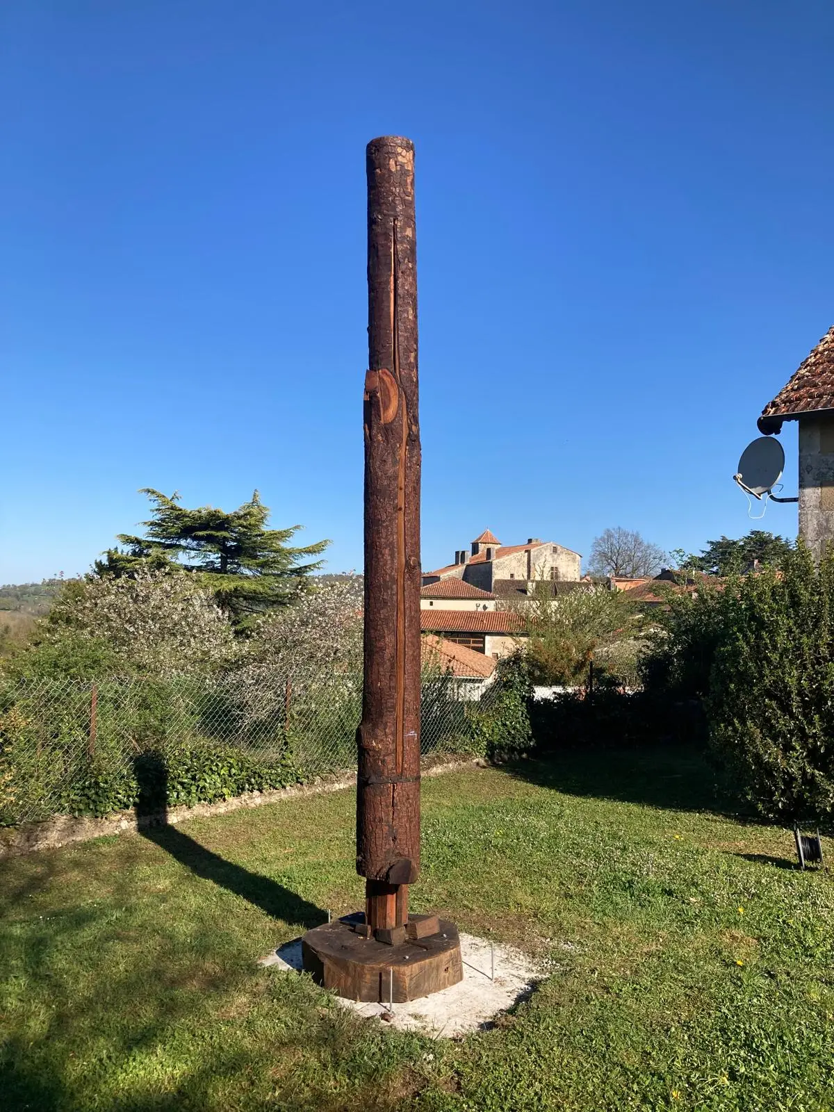 jorge-dubon-treedom-02